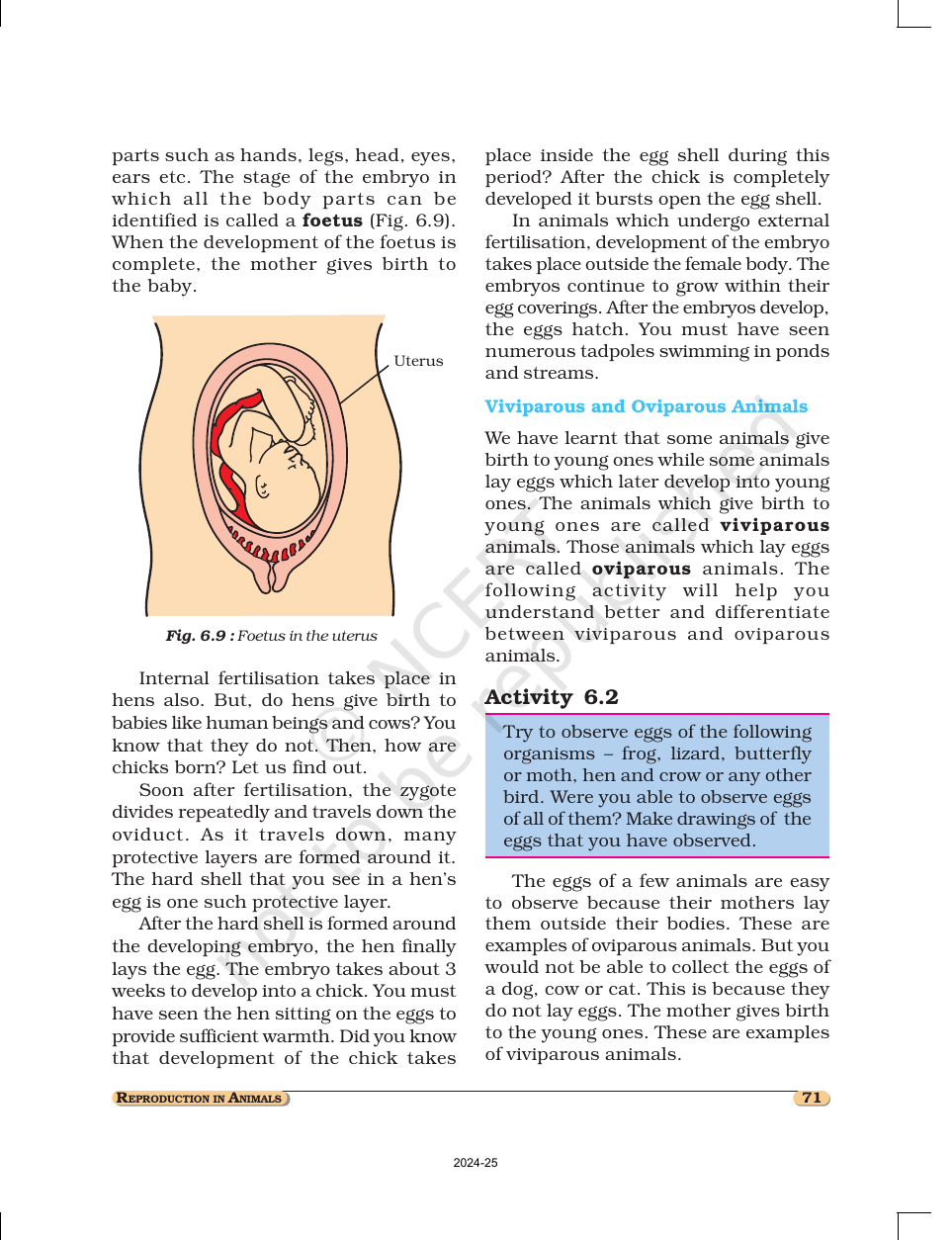 Page 6 of Reproduction in Animals