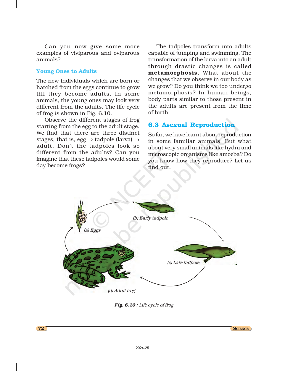 Page 7 of Reproduction in Animals