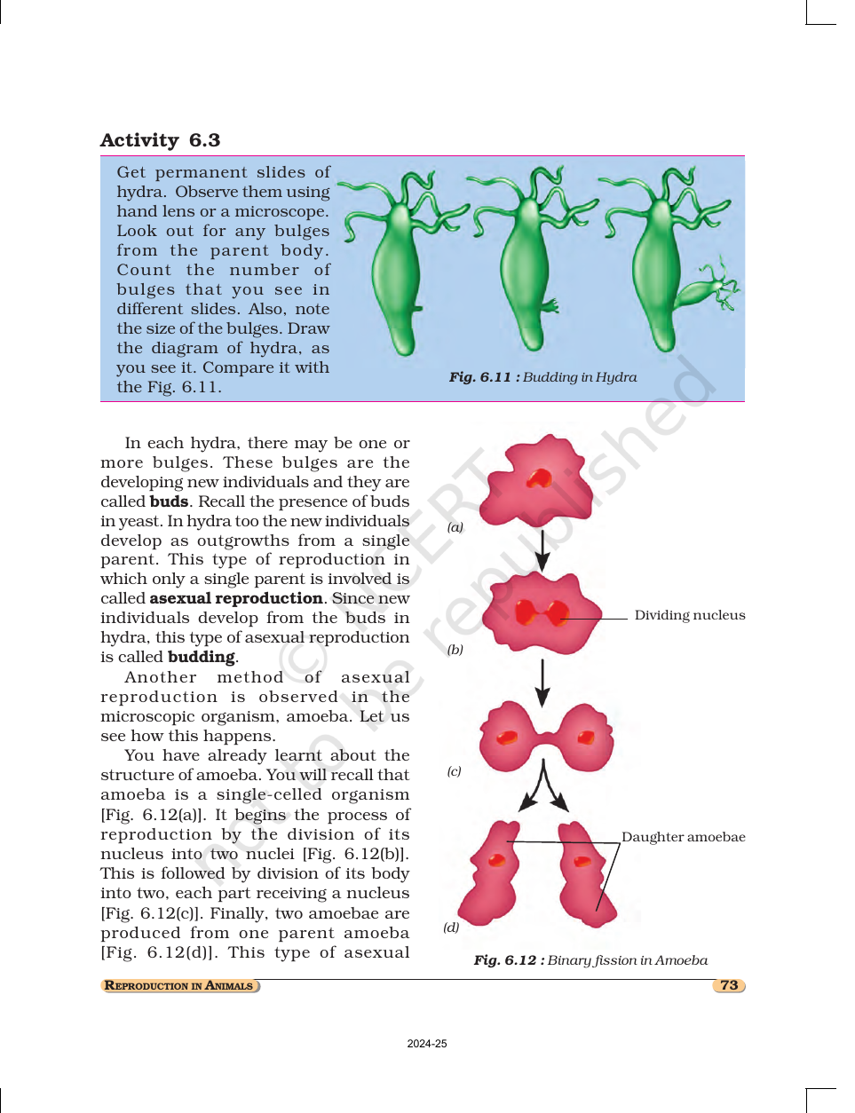Page 8 of Reproduction in Animals