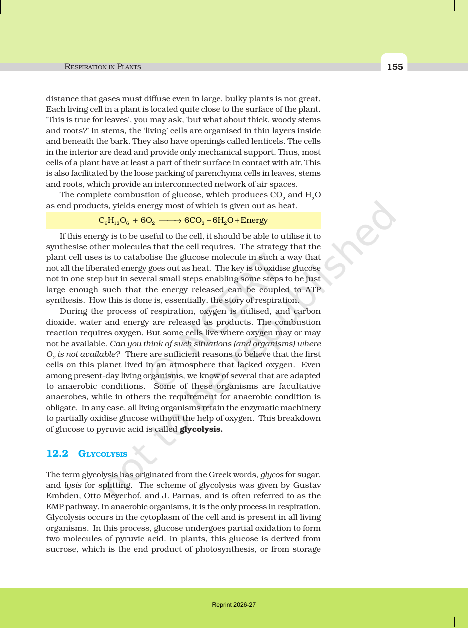 Page 3 of Respiration in Plants