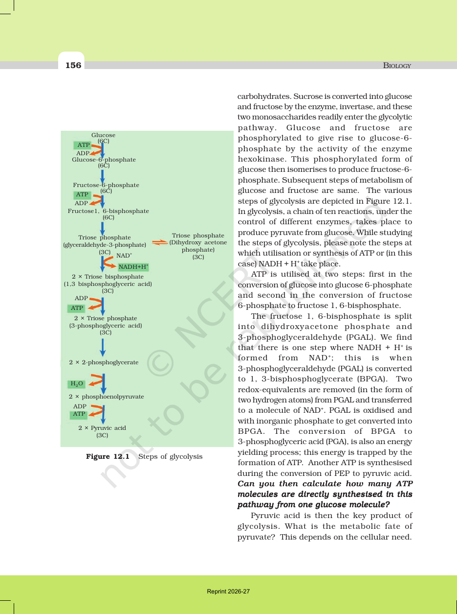 Page 4 of Respiration in Plants
