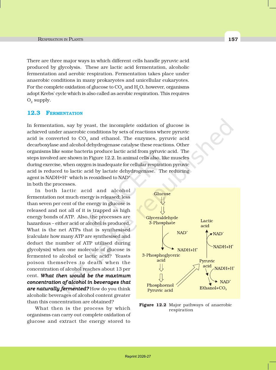 Page 5 of Respiration in Plants