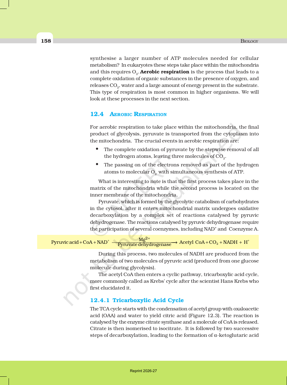 Page 6 of Respiration in Plants