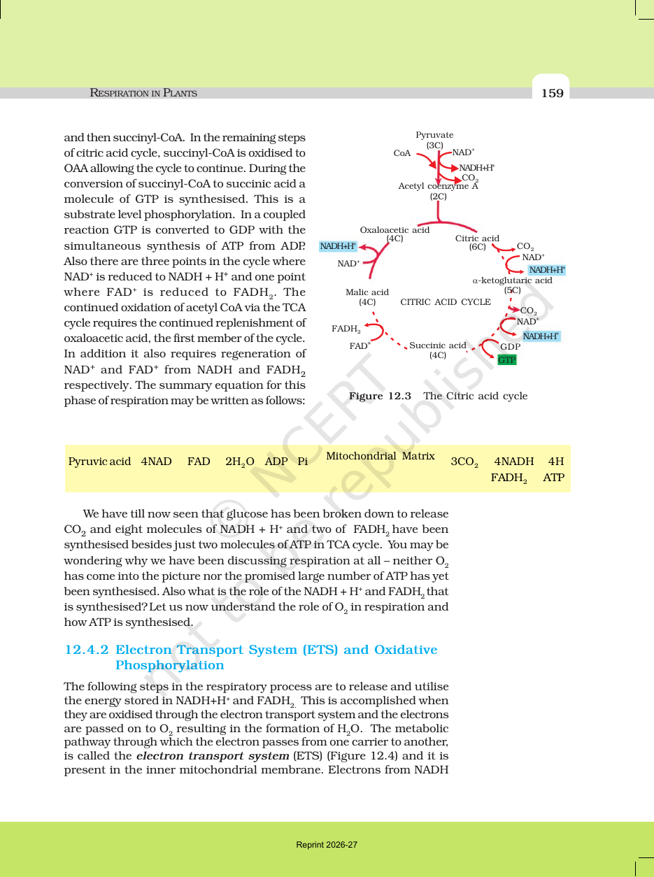 Page 7 of Respiration in Plants