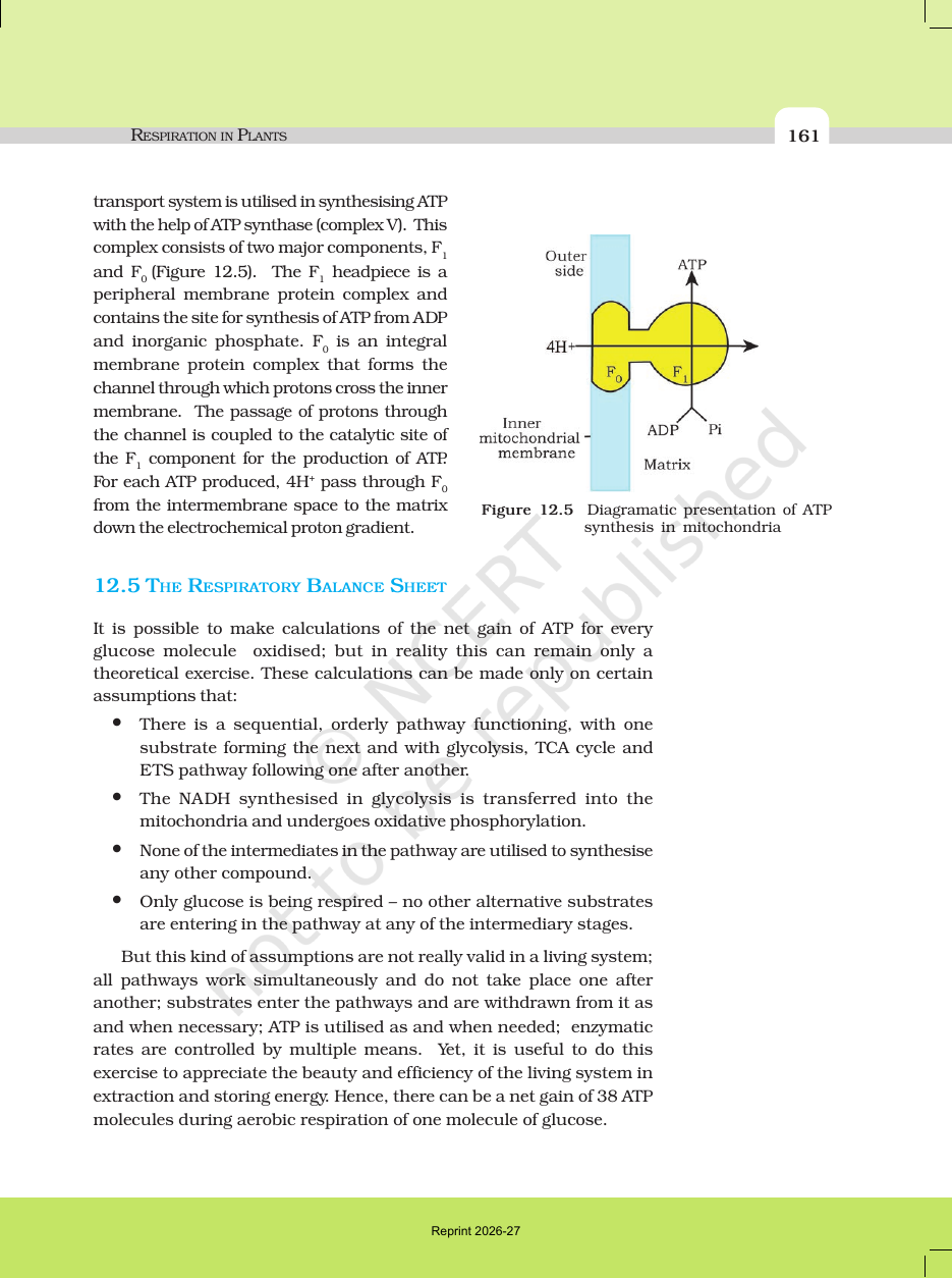 Page 9 of Respiration in Plants