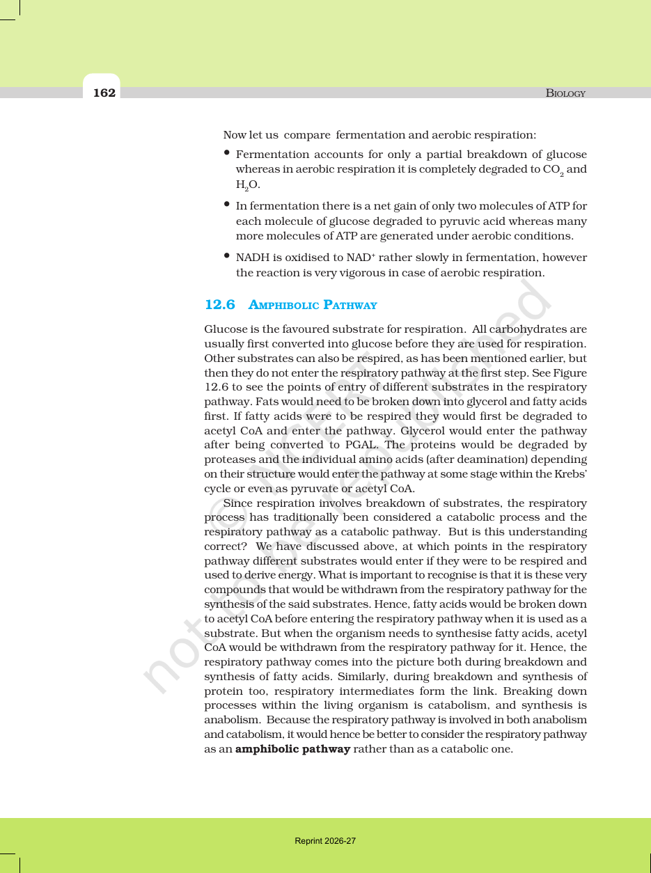 Page 10 of Respiration in Plants