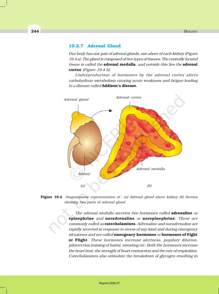 Page 6 of Chemical Coordination and Integration