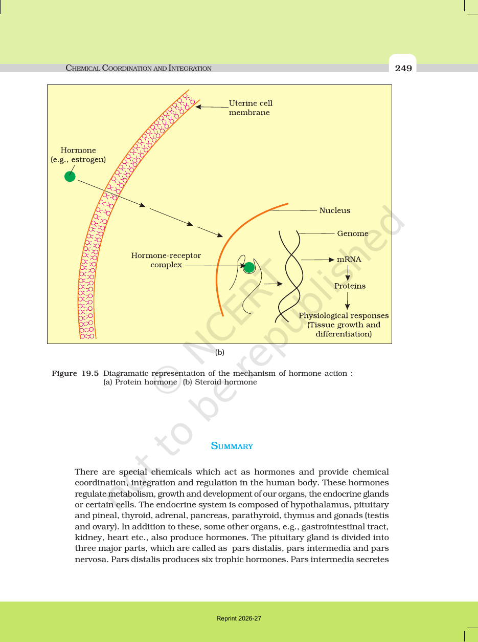 Page 11 of Chemical Coordination and Integration