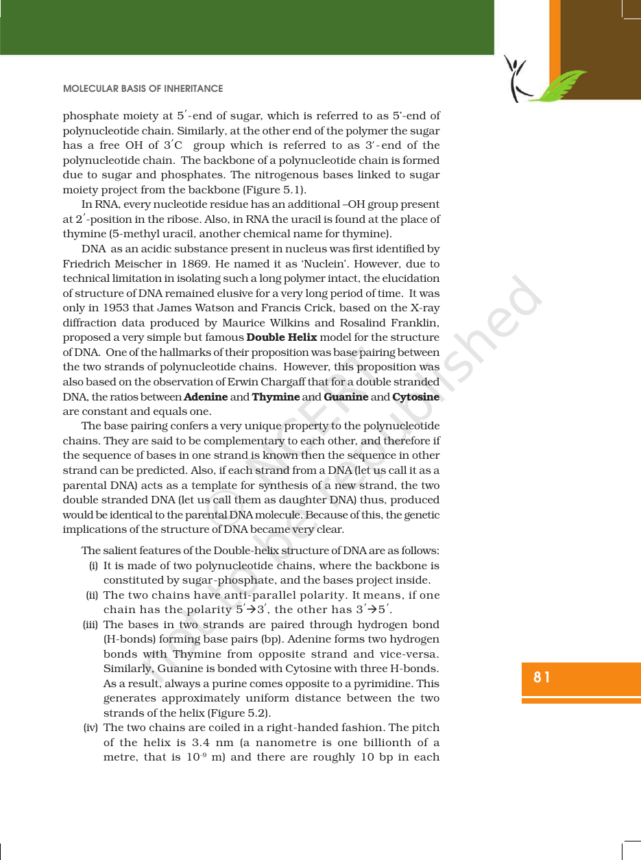 Page 3 of Molecular Basis of Inheritance