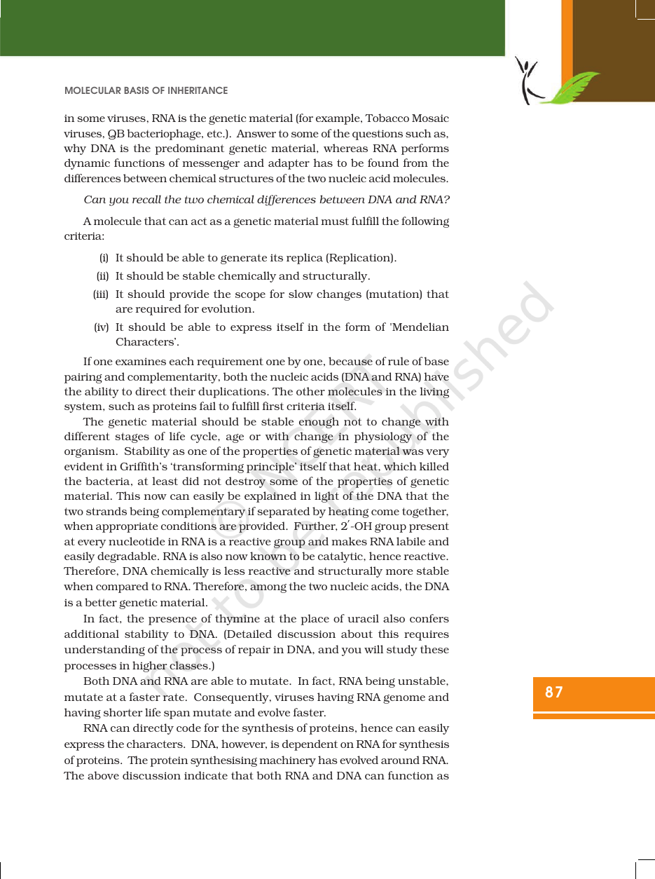 Page 9 of Molecular Basis of Inheritance
