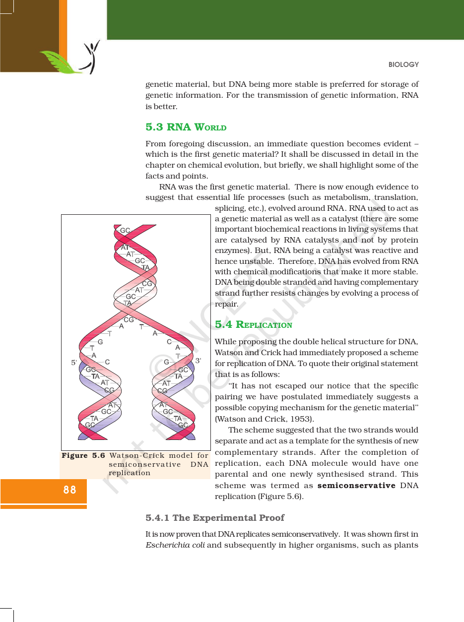 Page 10 of Molecular Basis of Inheritance