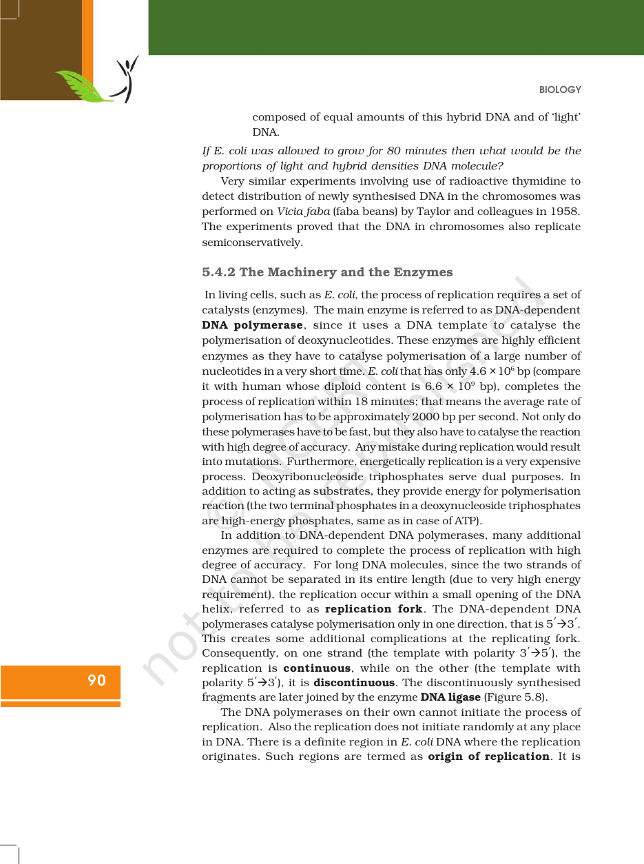 Page 12 of Molecular Basis of Inheritance