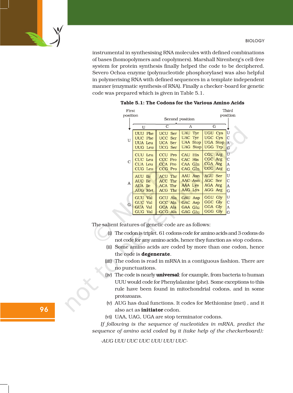 Page 18 of Molecular Basis of Inheritance