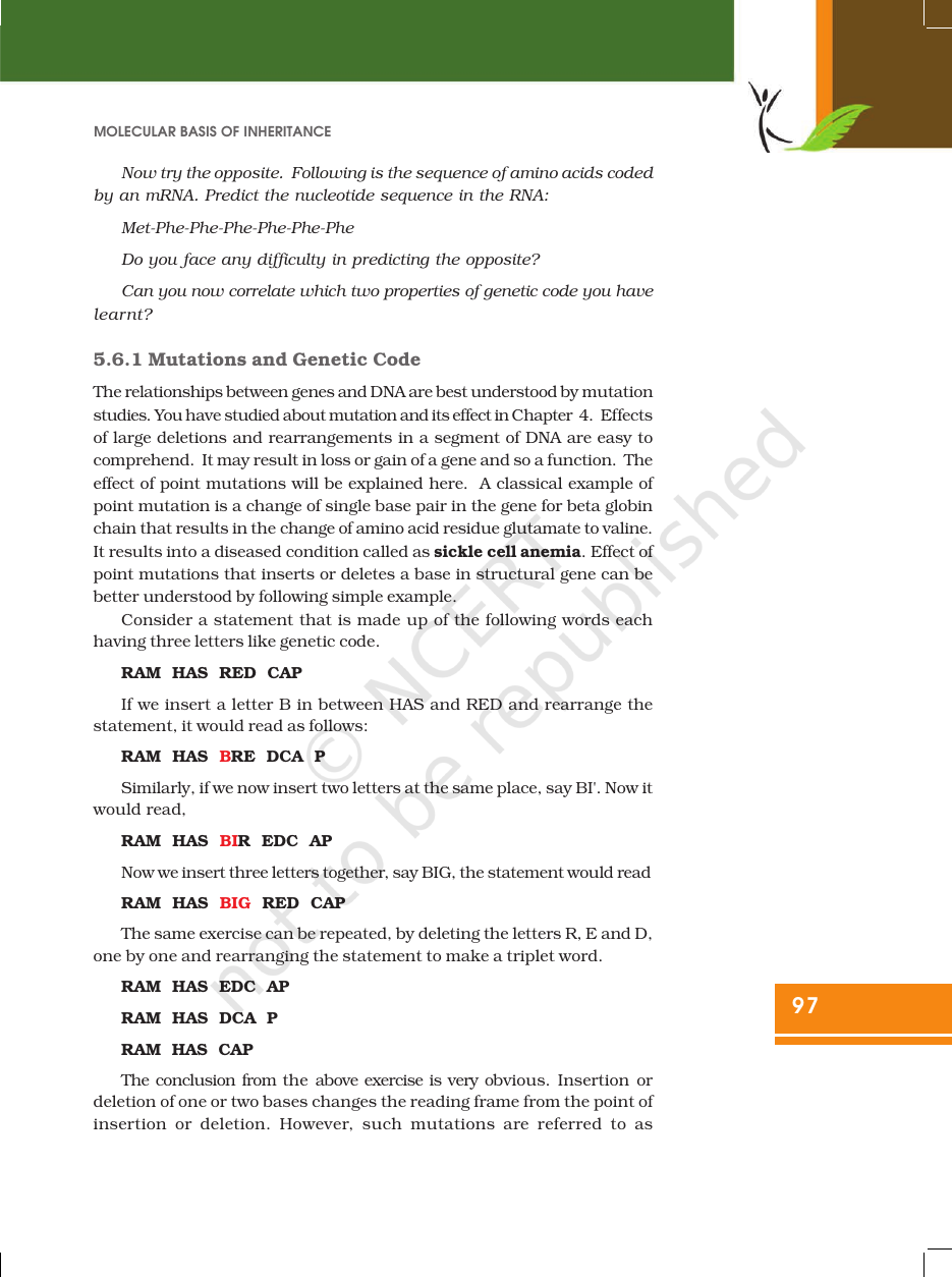 Page 19 of Molecular Basis of Inheritance