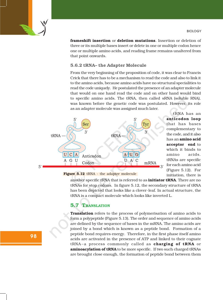 Page 20 of Molecular Basis of Inheritance