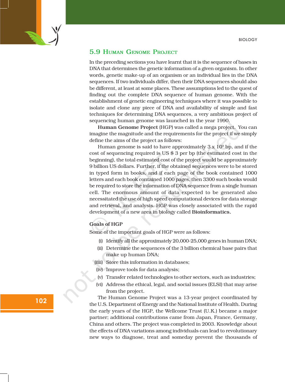 Page 24 of Molecular Basis of Inheritance