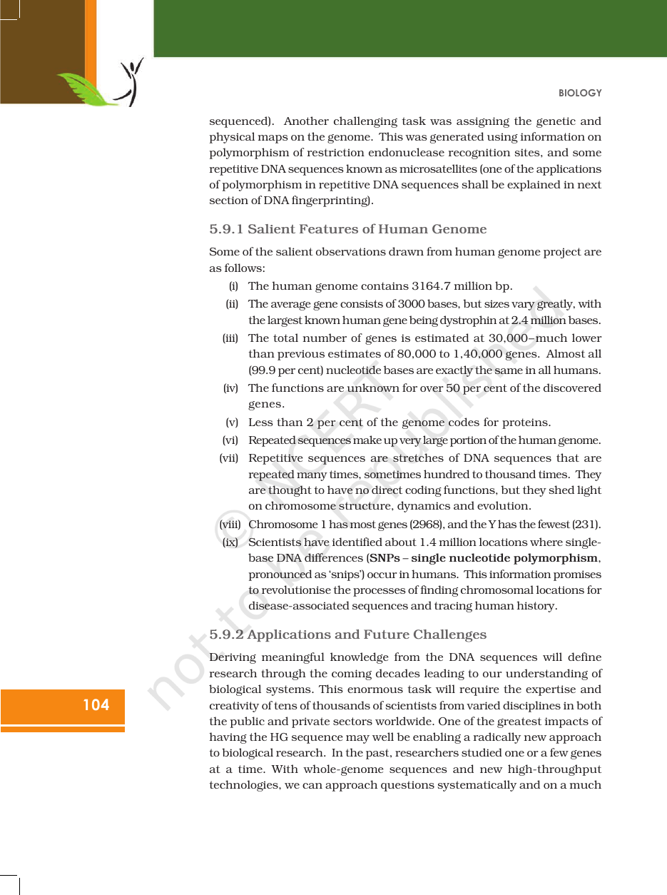Page 26 of Molecular Basis of Inheritance