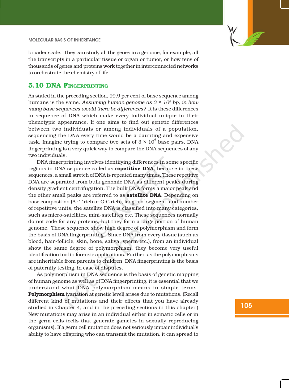 Page 27 of Molecular Basis of Inheritance