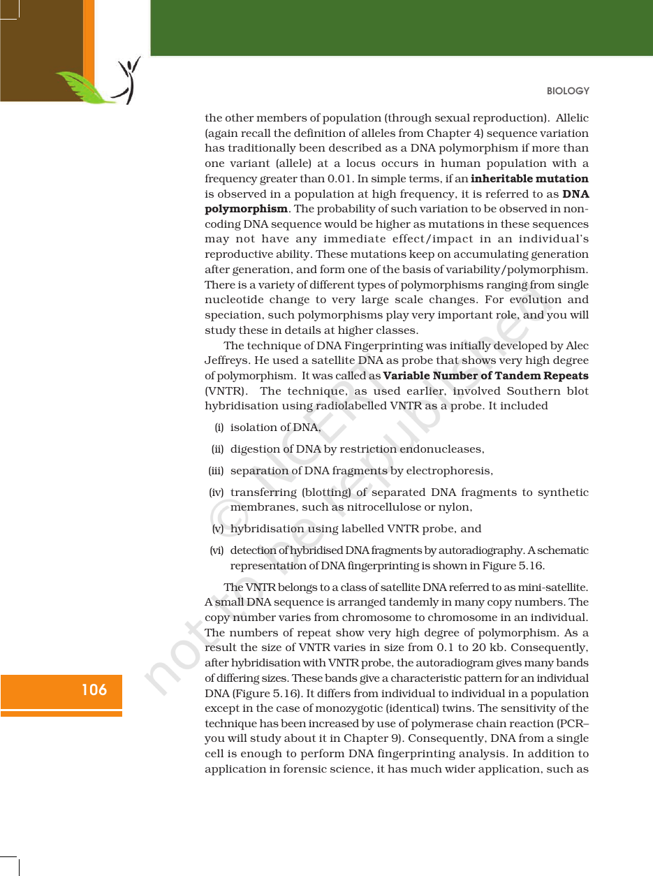 Page 28 of Molecular Basis of Inheritance