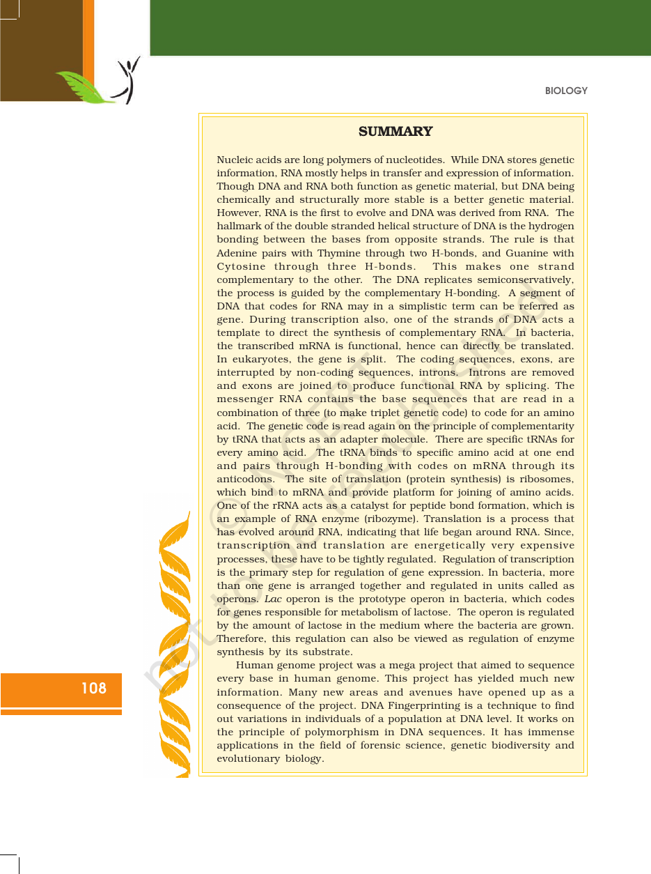 Page 30 of Molecular Basis of Inheritance