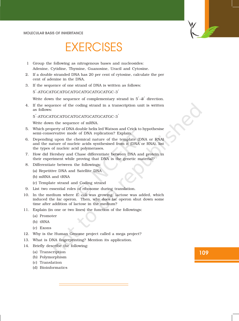 Page 31 of Molecular Basis of Inheritance