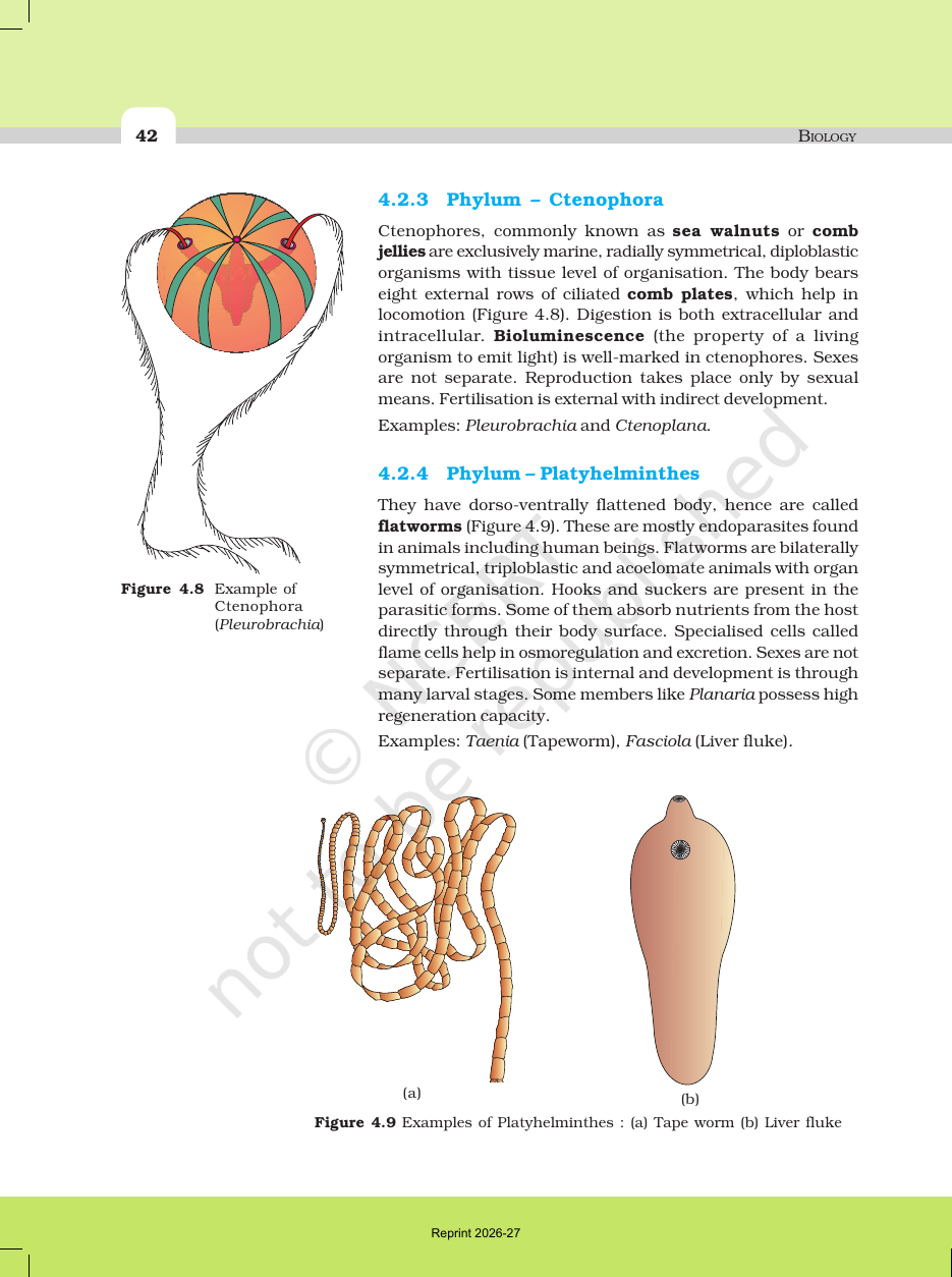 Page 6 of Animal Kingdom