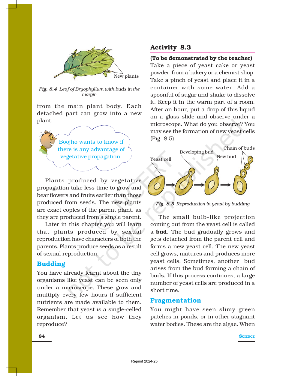 Page 3 of Reproduction in Plants