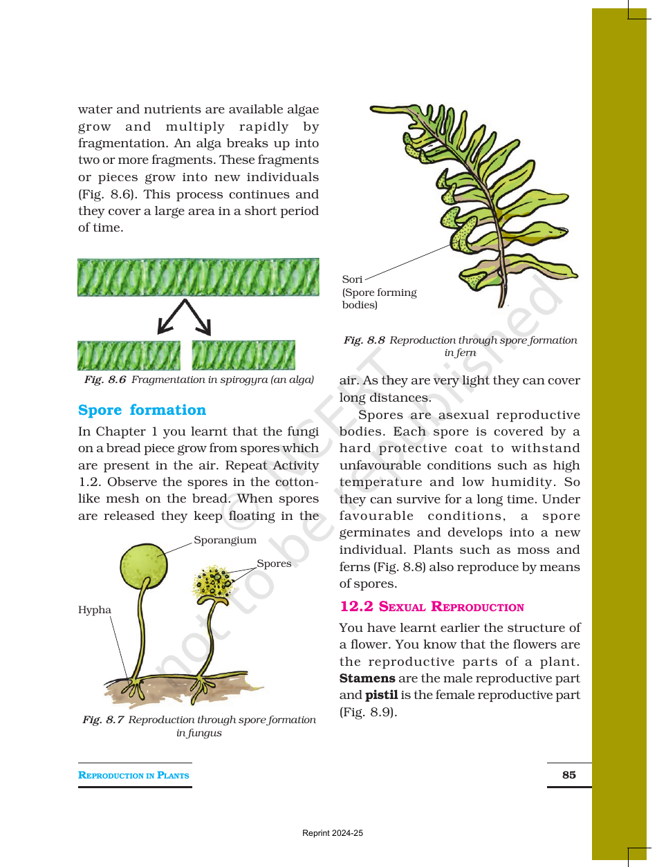 Page 4 of Reproduction in Plants