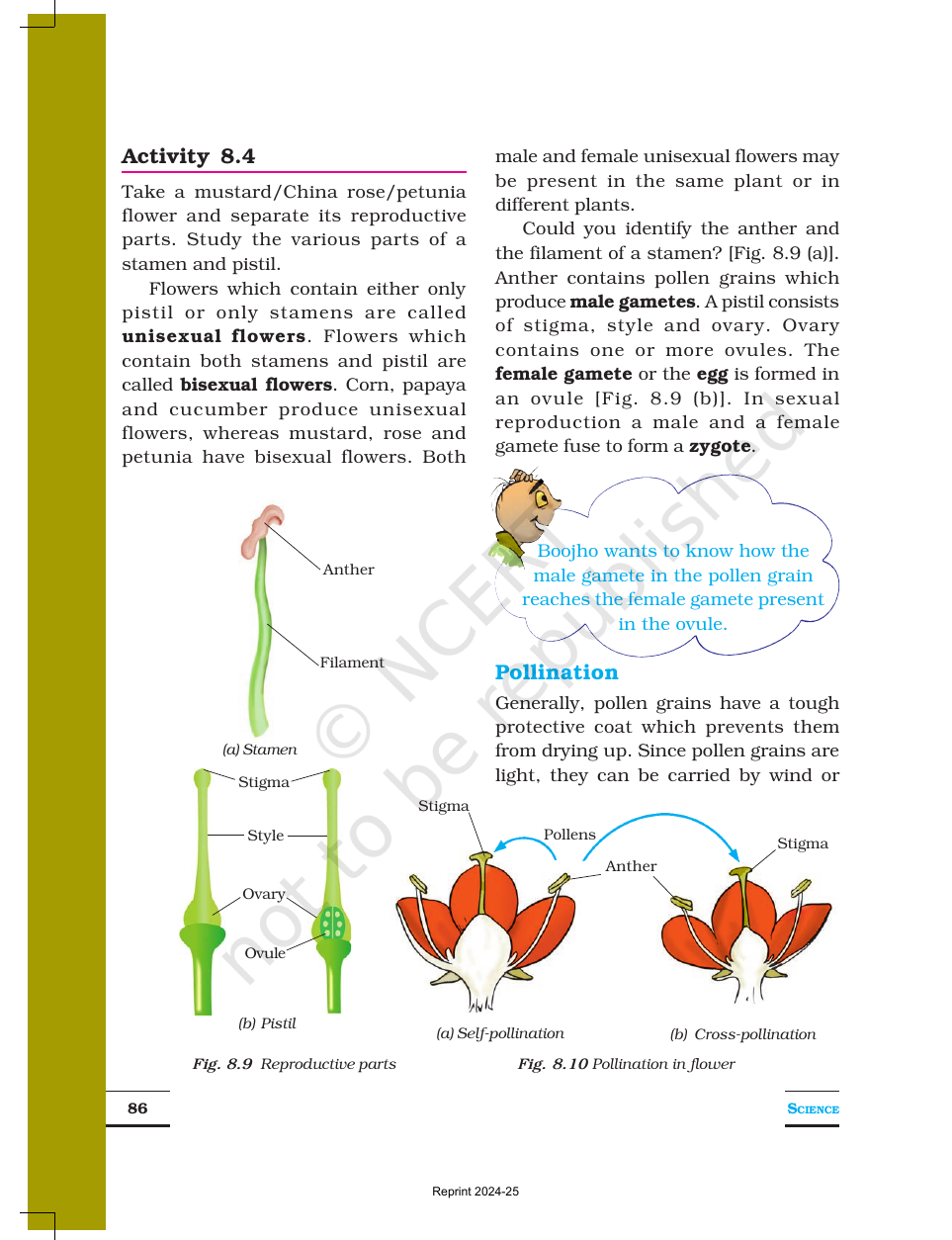 Page 5 of Reproduction in Plants