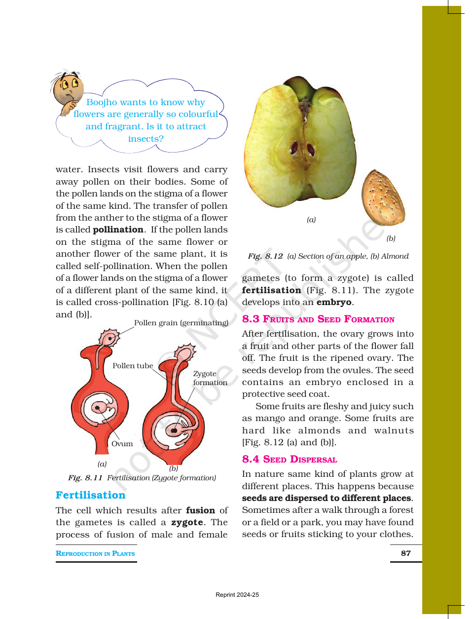 Page 6 of Reproduction in Plants