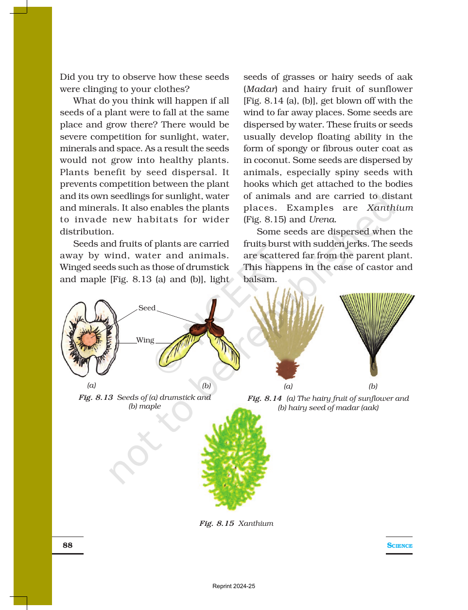 Page 7 of Reproduction in Plants