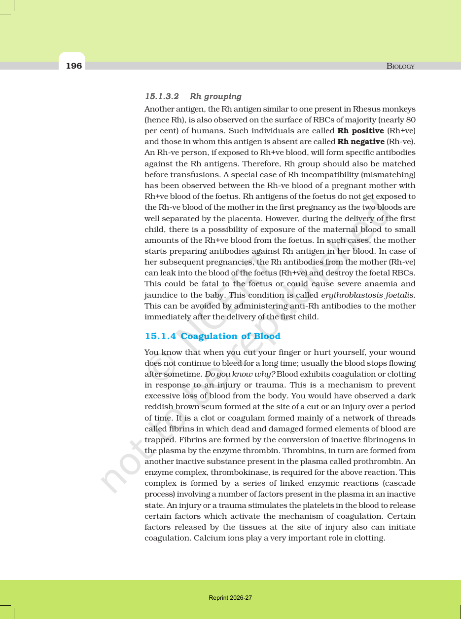 Page 4 of Body Fluids and Circulation