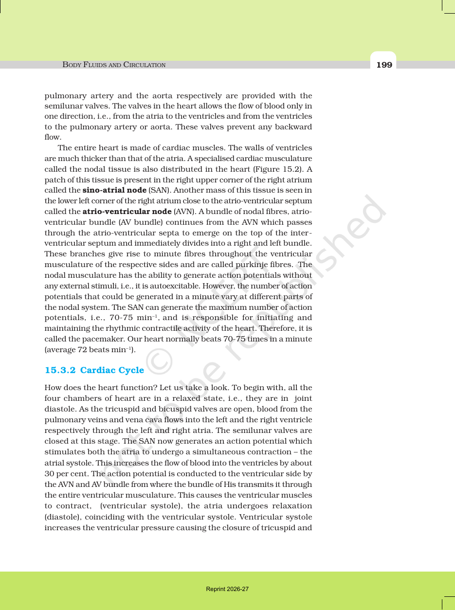 Page 7 of Body Fluids and Circulation