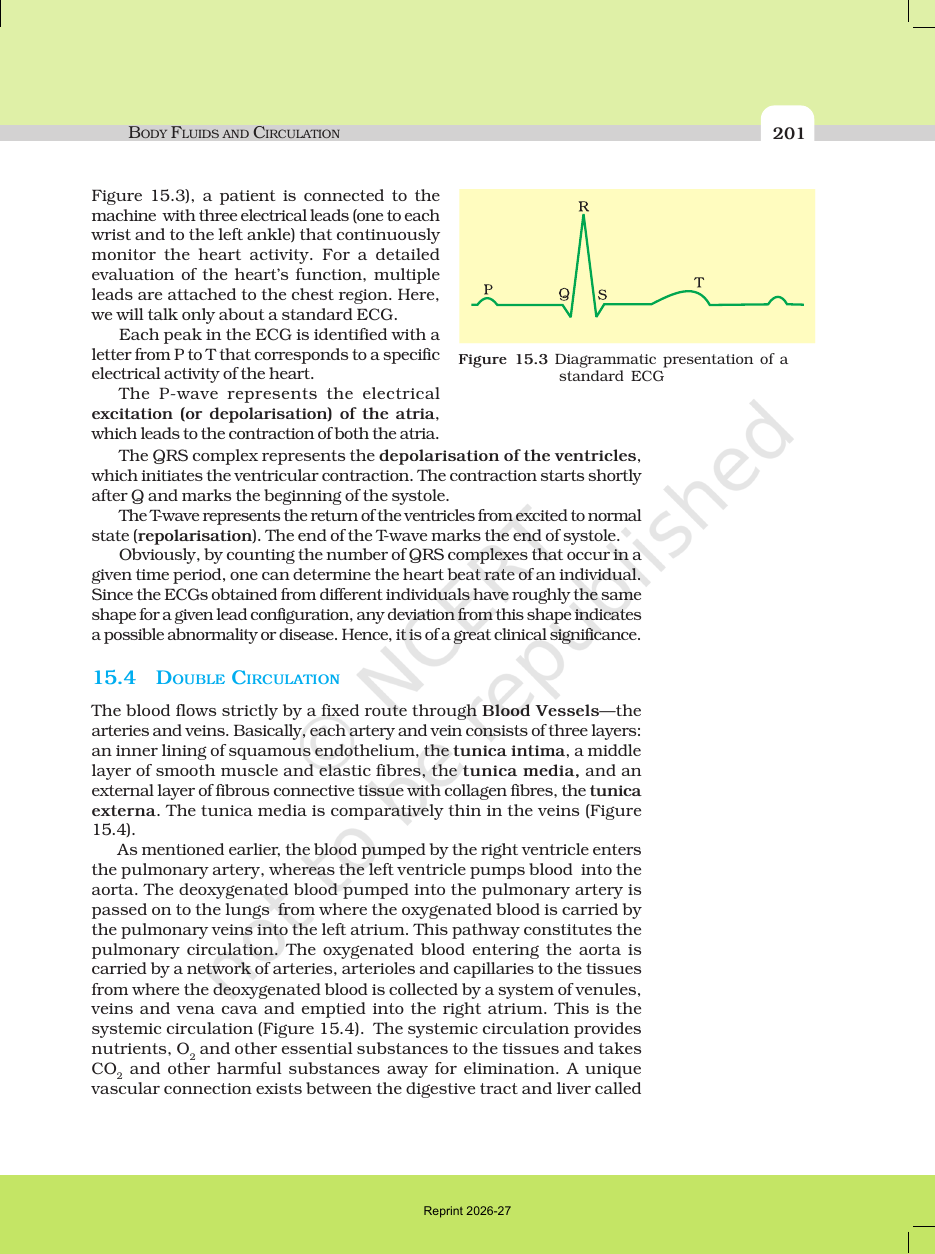 Page 9 of Body Fluids and Circulation