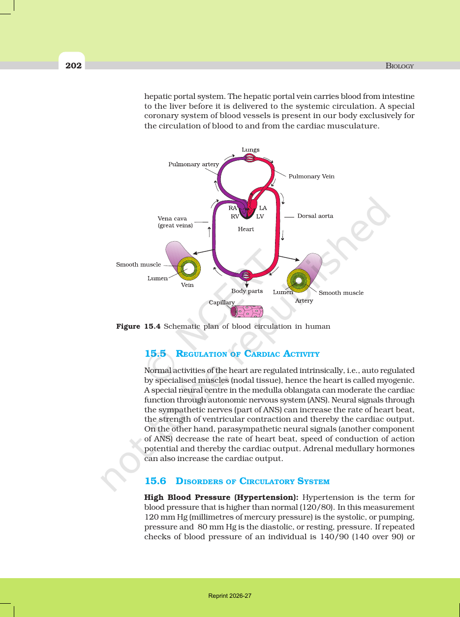 Page 10 of Body Fluids and Circulation