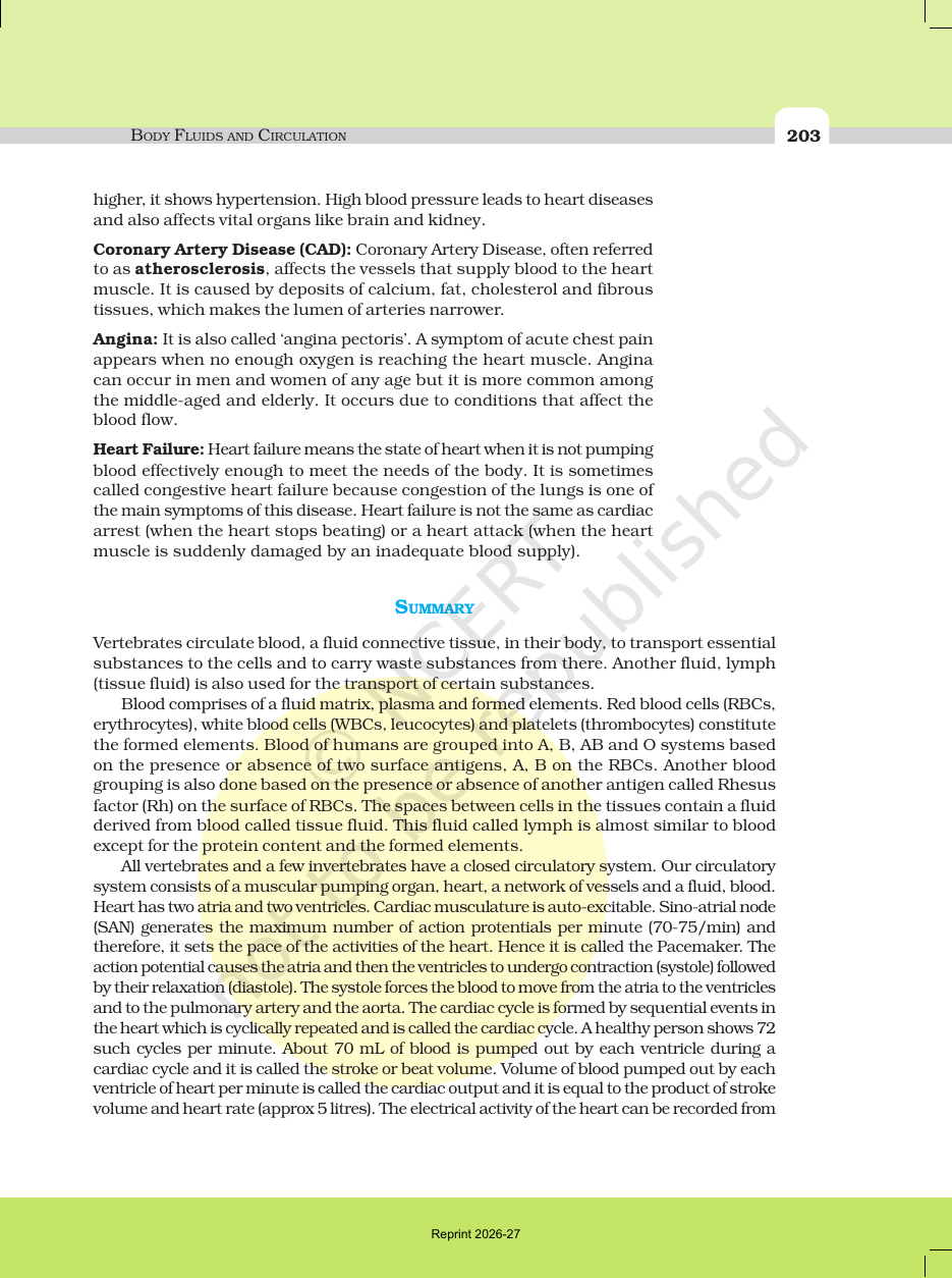 Page 11 of Body Fluids and Circulation