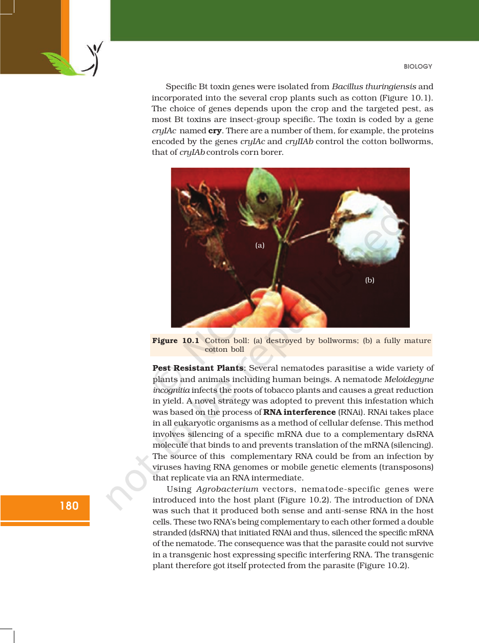 Page 4 of Biotechnology and its Applications