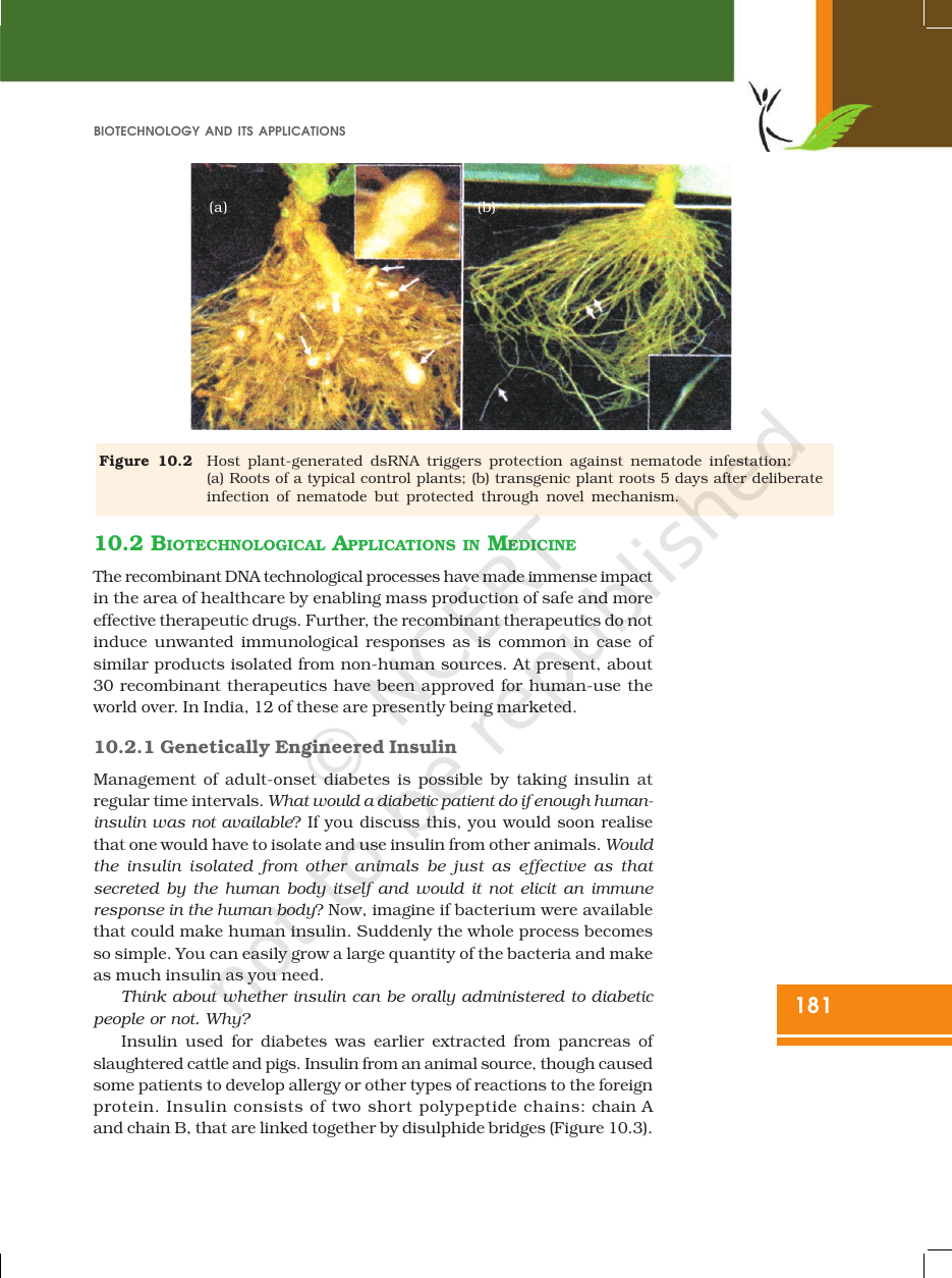 Page 5 of Biotechnology and its Applications
