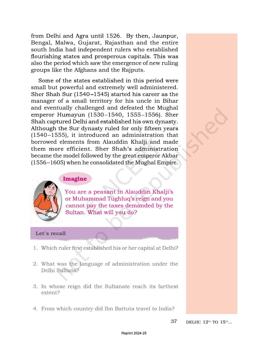 Page 8 of The Delhi Sultans
