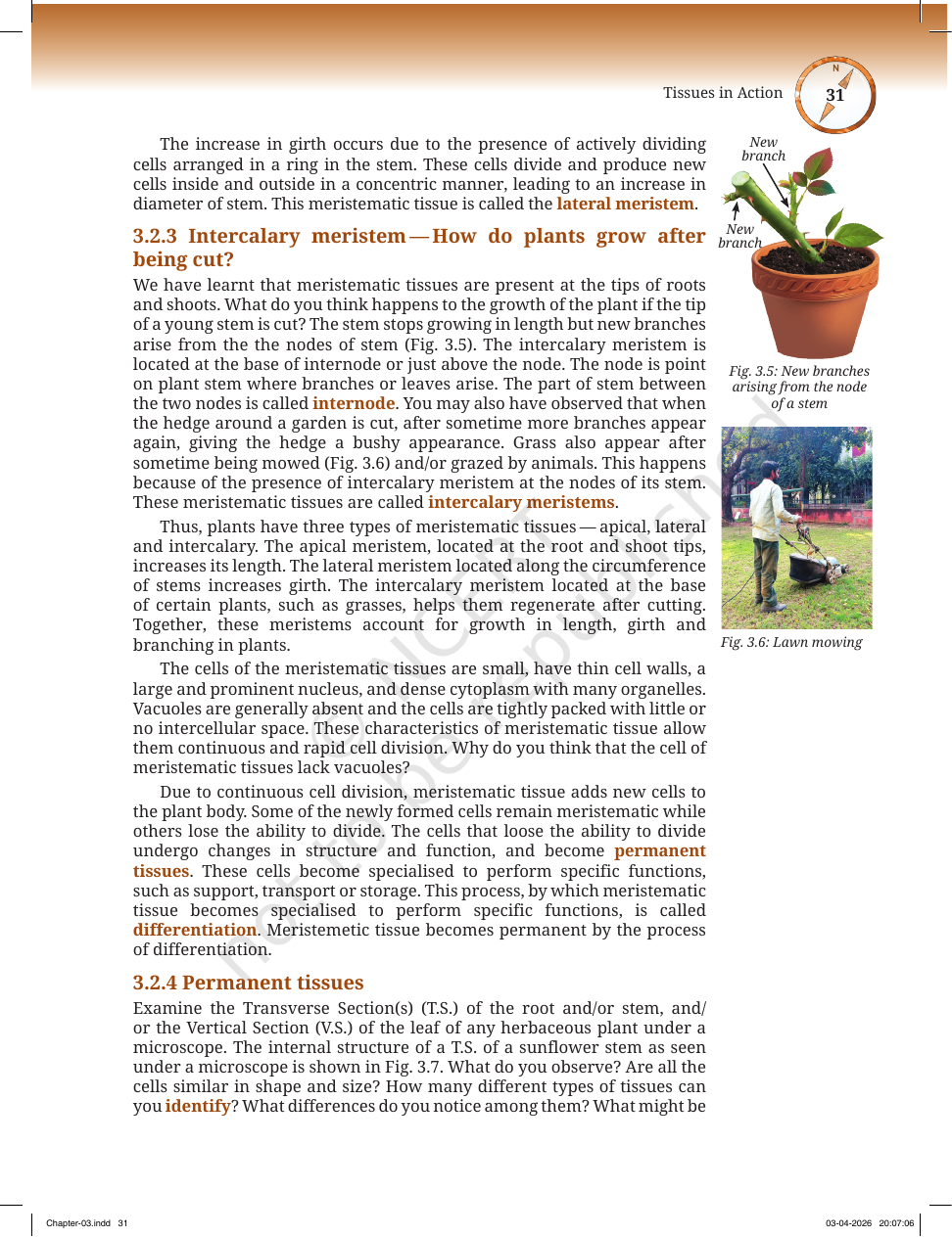 Page 4 of Atoms and Molecules
