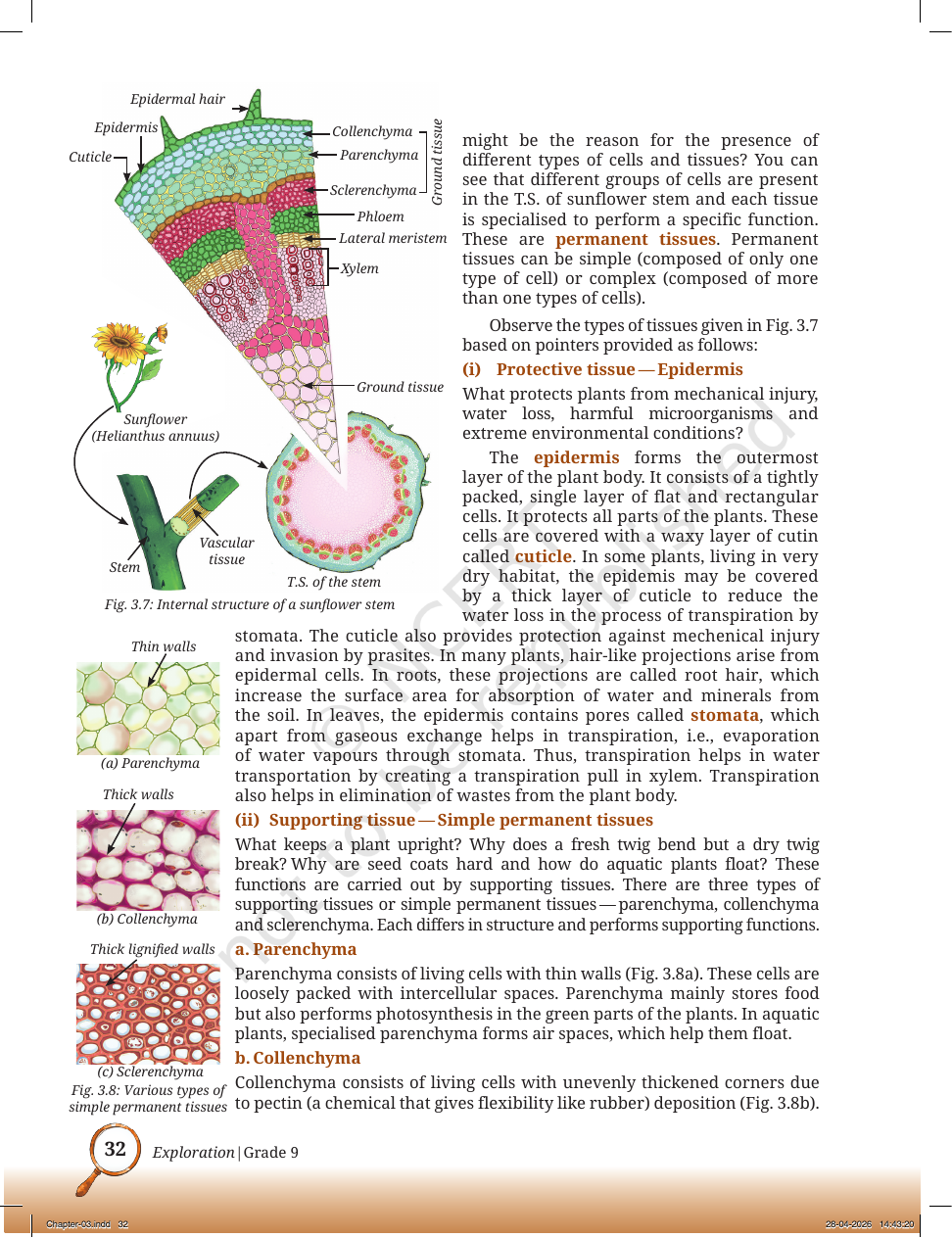 Page 5 of Atoms and Molecules