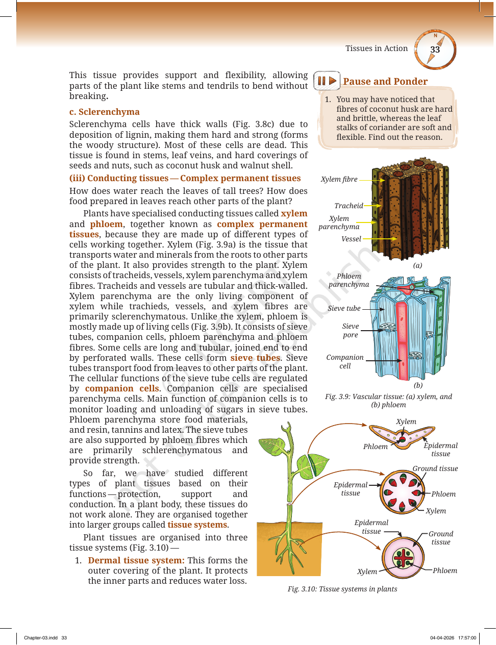 Page 6 of Atoms and Molecules