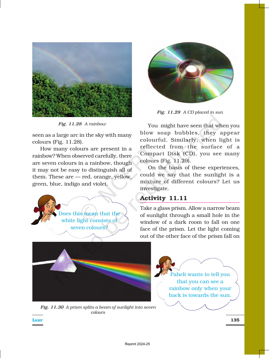 Page 13 of Light