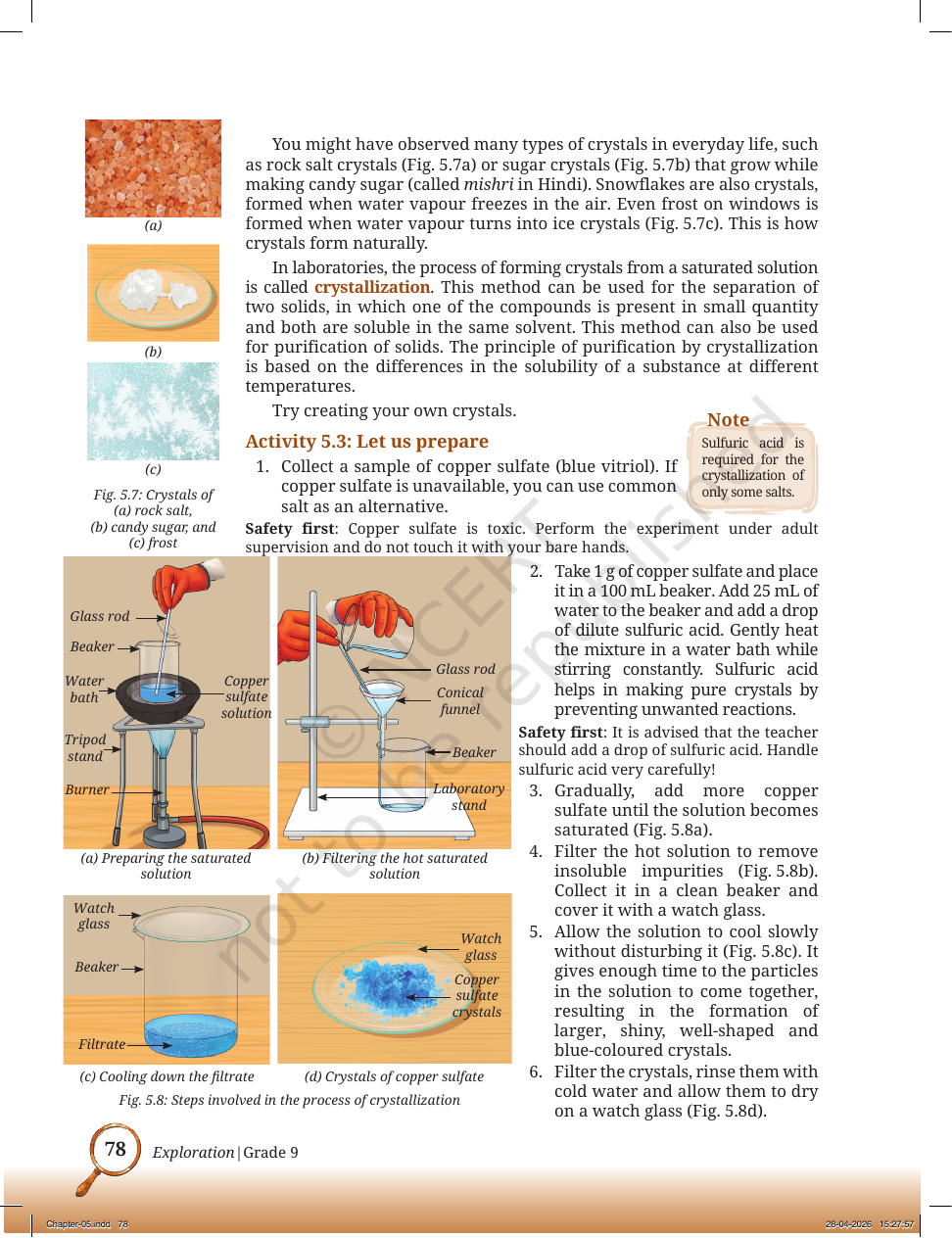 Page 7 of The Fundamental Unit of Life