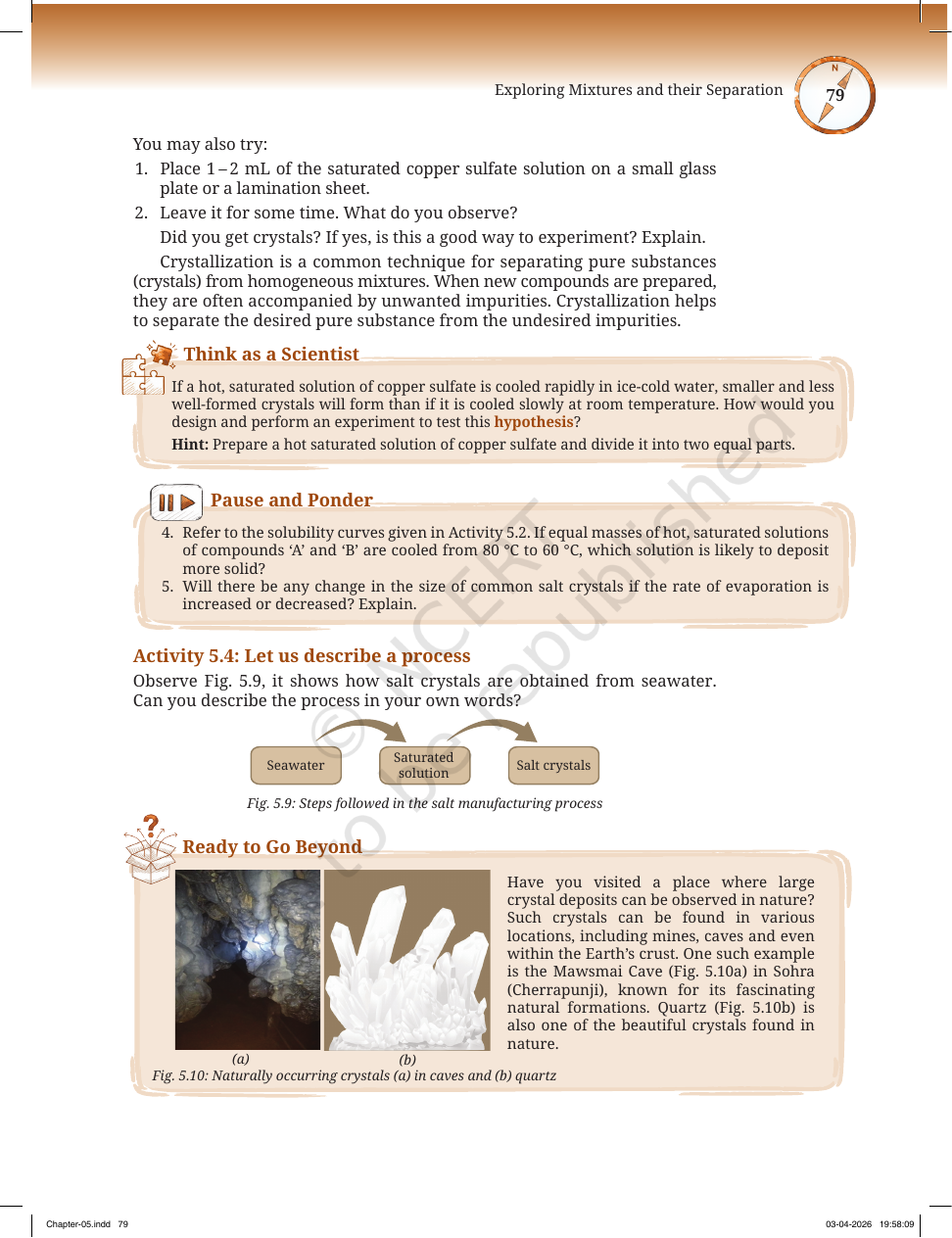 Page 8 of The Fundamental Unit of Life