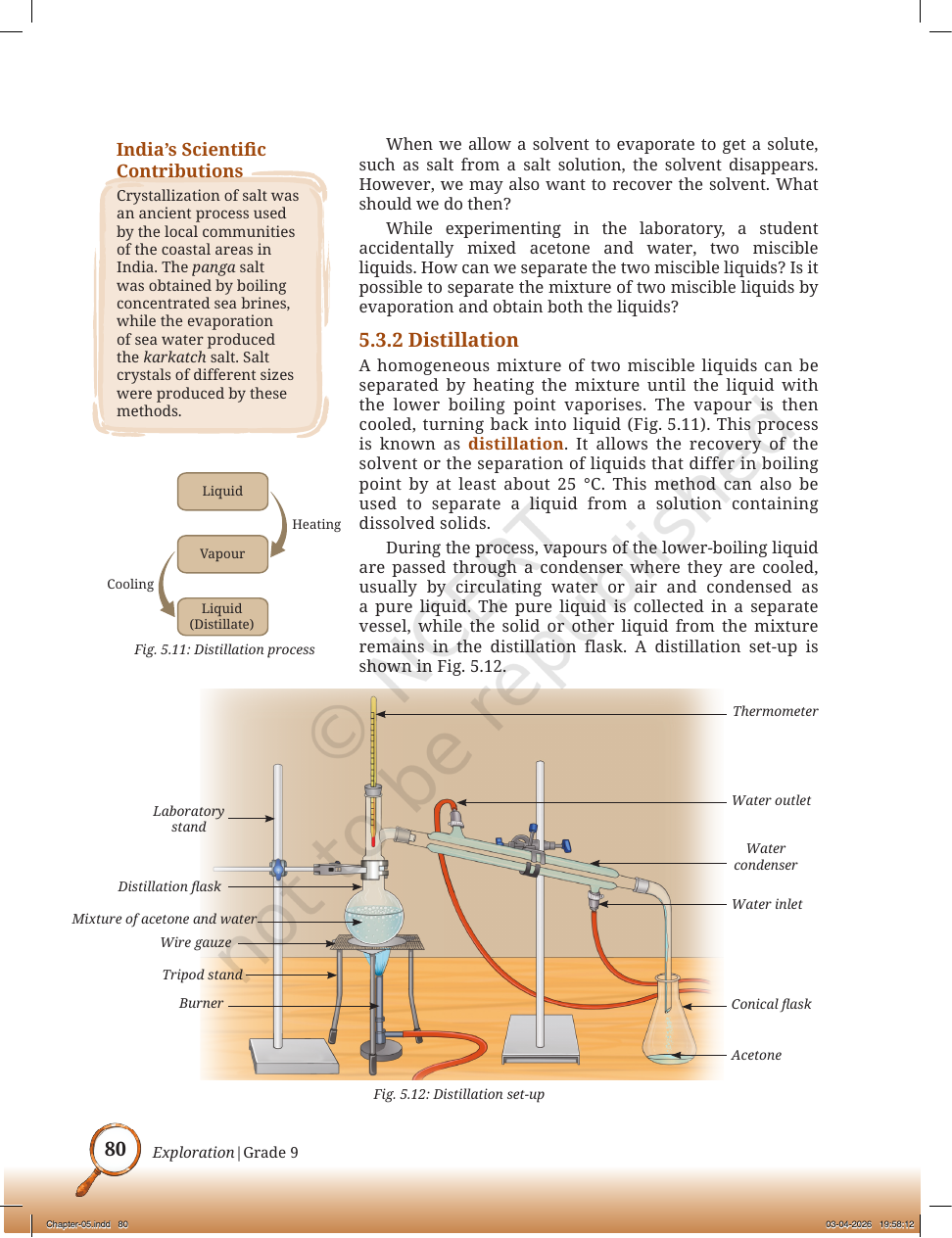 Page 9 of The Fundamental Unit of Life