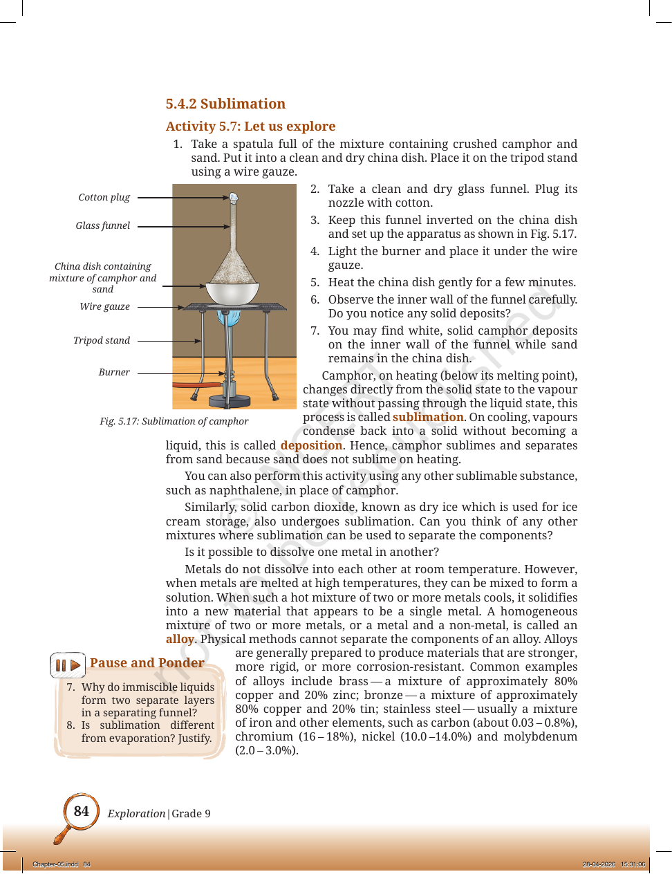 Page 13 of The Fundamental Unit of Life