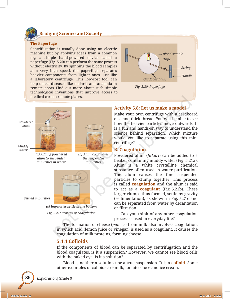 Page 15 of The Fundamental Unit of Life