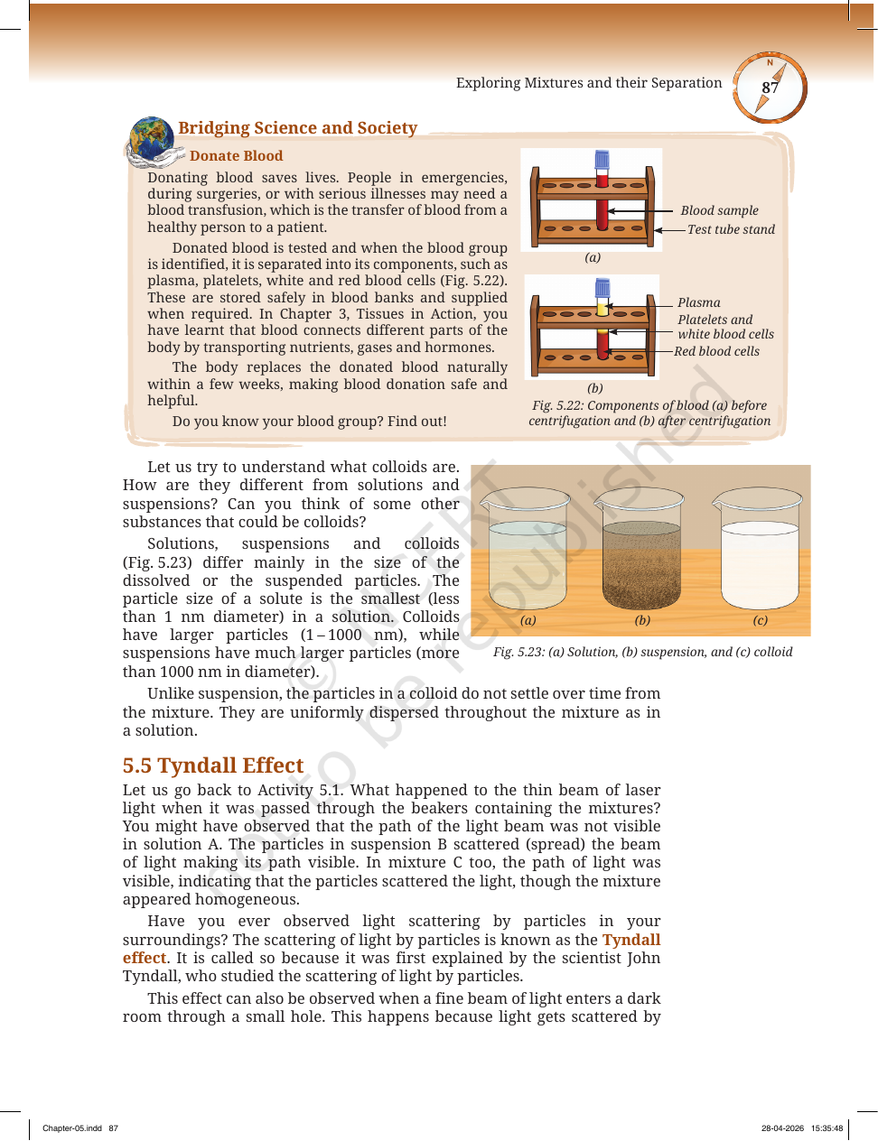 Page 16 of The Fundamental Unit of Life