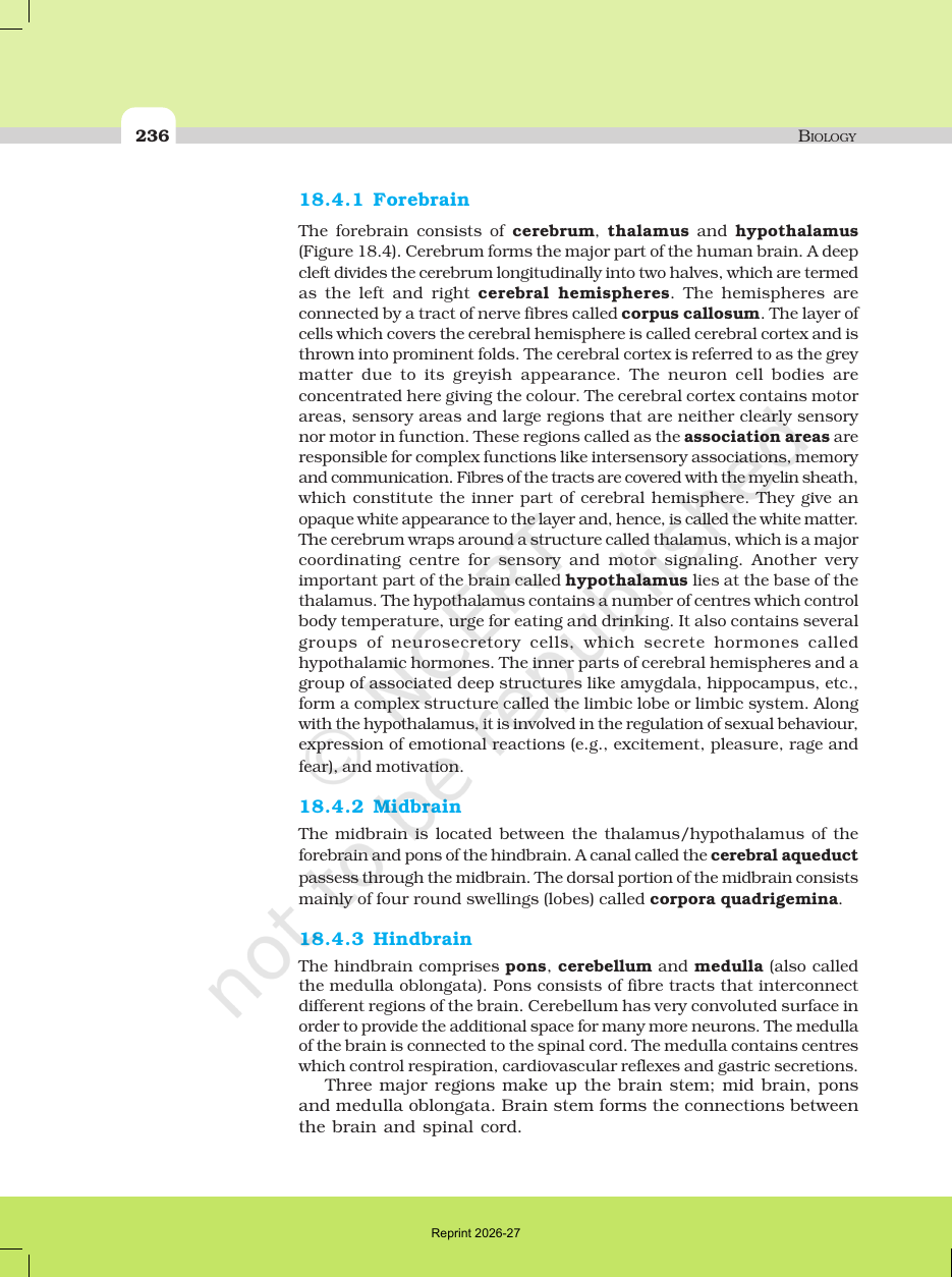 Page 7 of Neural Control and Coordination
